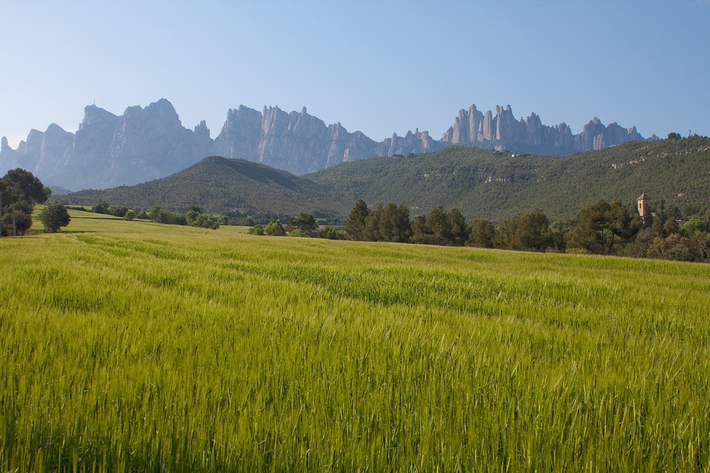 Voltants de Cal Sort