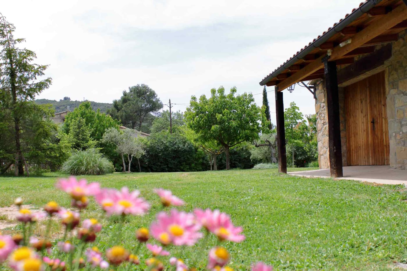 Gespa i flors del jardí