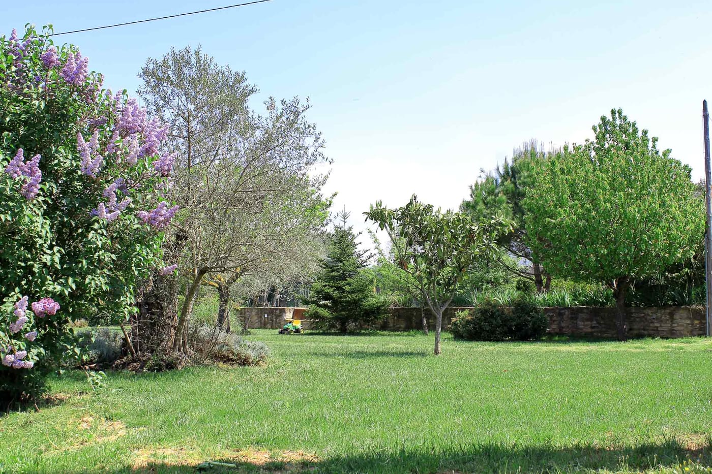 Jardí de Cal Sort
